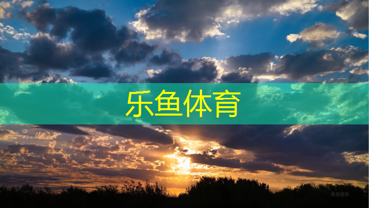 乐鱼体育,跆拳道电子护具怎么做